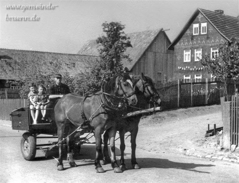 Pferdegespann in der Hildburghuser Strasse