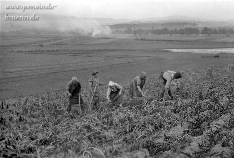 Kartoffelernte 1938