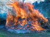 Osterfeuer Brnn 17.04.2025