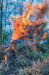 Osterfeuer Brnn 17.04.2025