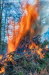 Osterfeuer Brnn 17.04.2025