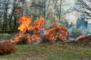 Osterfeuer Brnn 17.04.2025
