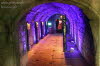 M�nnertag am Felsenkeller Br�nn 2026
